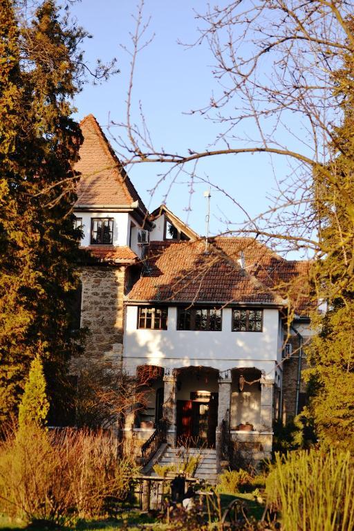 Villa Castelul Maria Banpotoc Exterior foto
